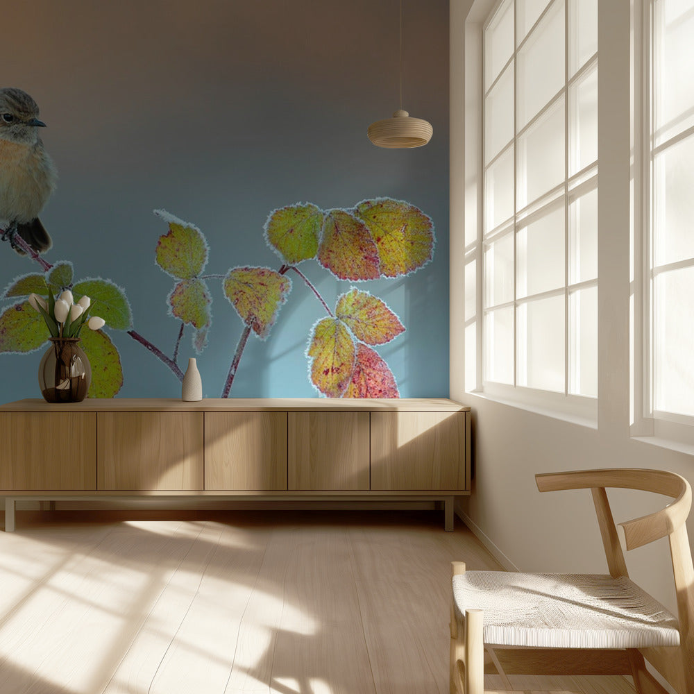 Winterkleuren | Behang