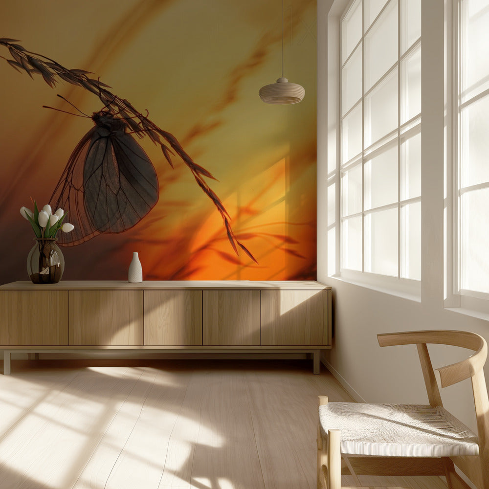 Goedenacht | Behang