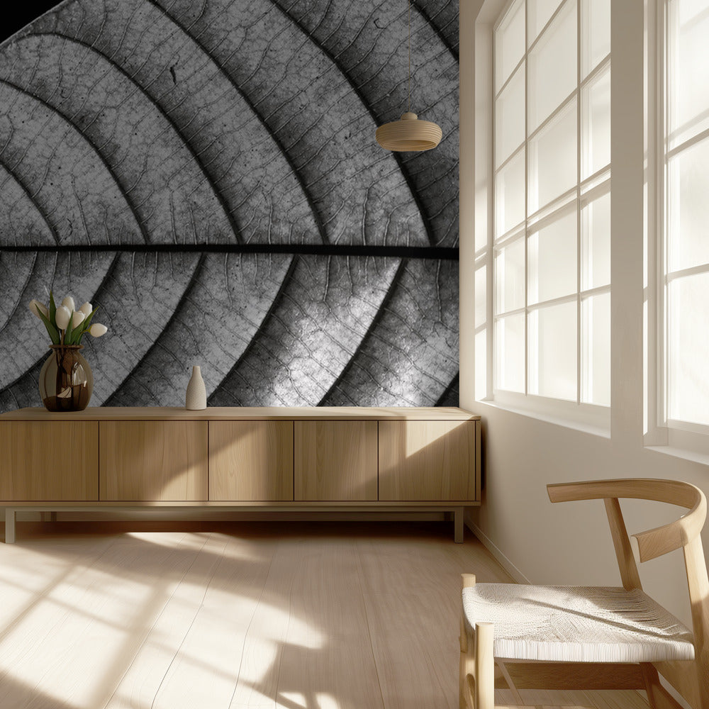 Droge vis | Behang