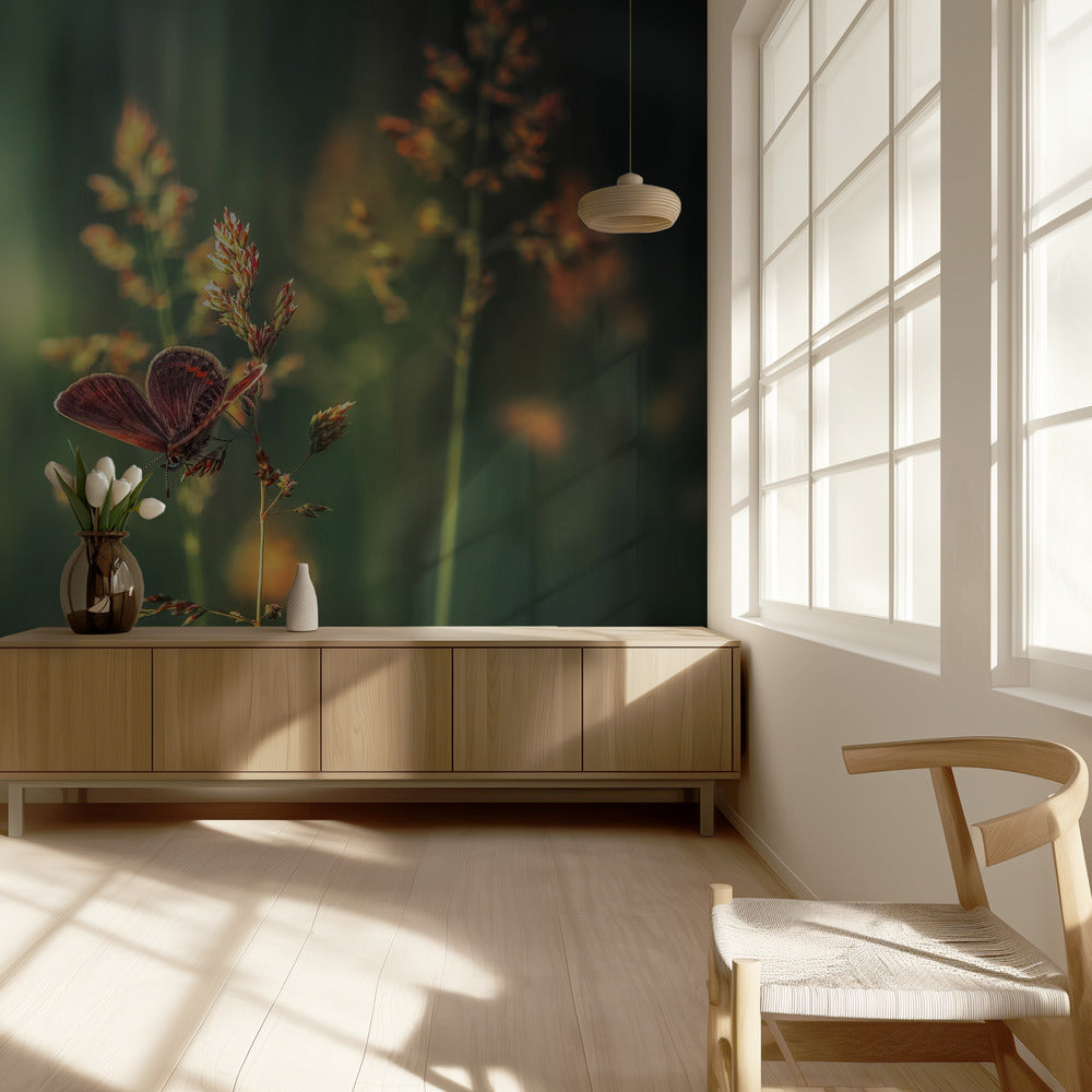 Laatste Licht | Behang