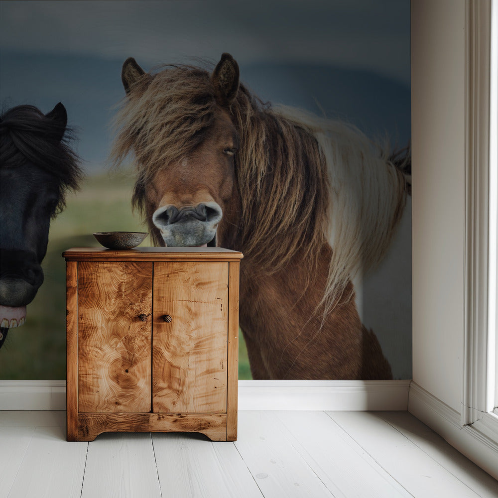 WILDE LACH | Behang