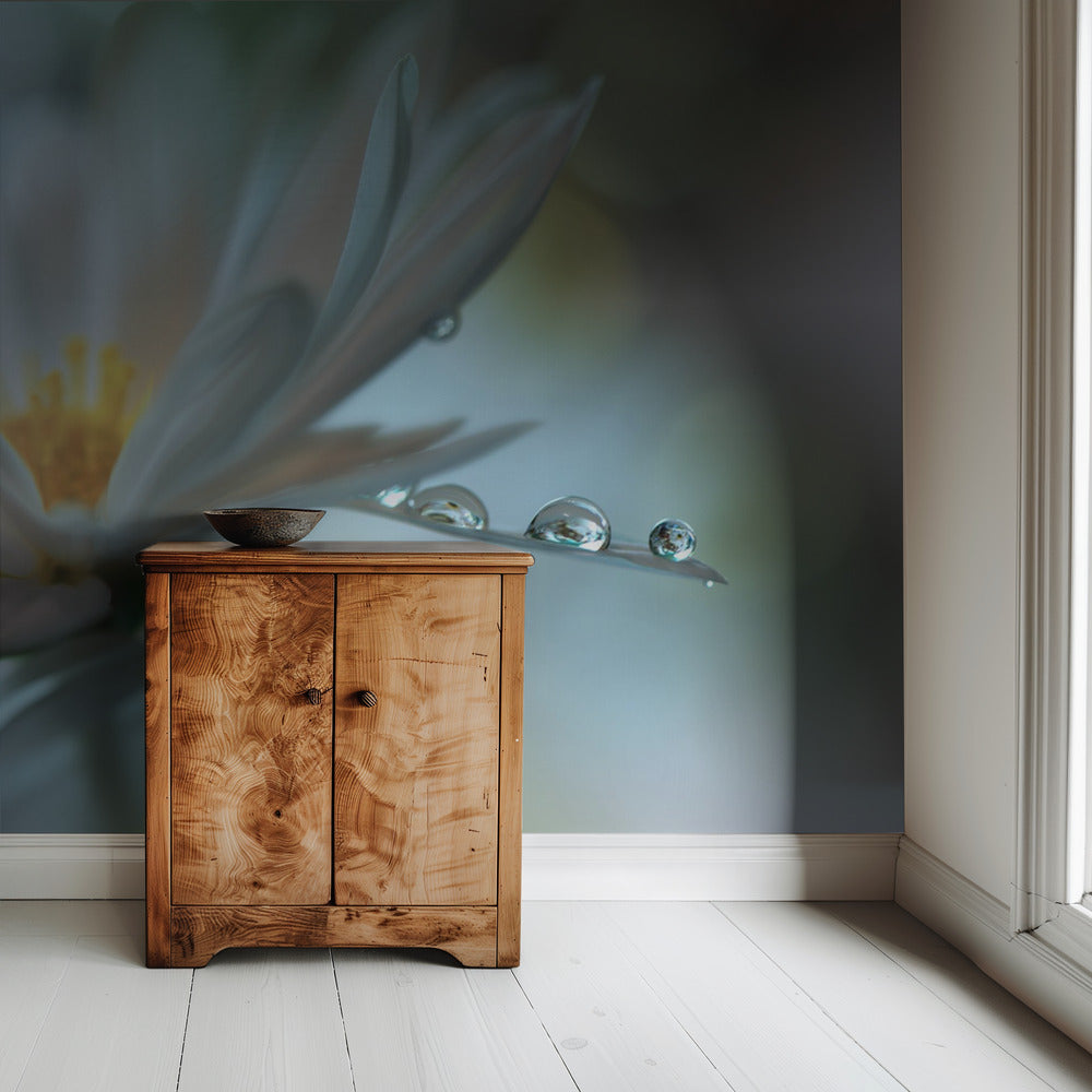 Lichte aanraking... | Behang