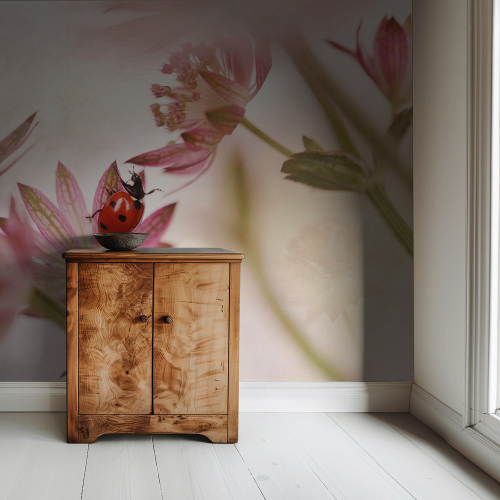 Lieveheersbeestje en roze bloemen | Behang