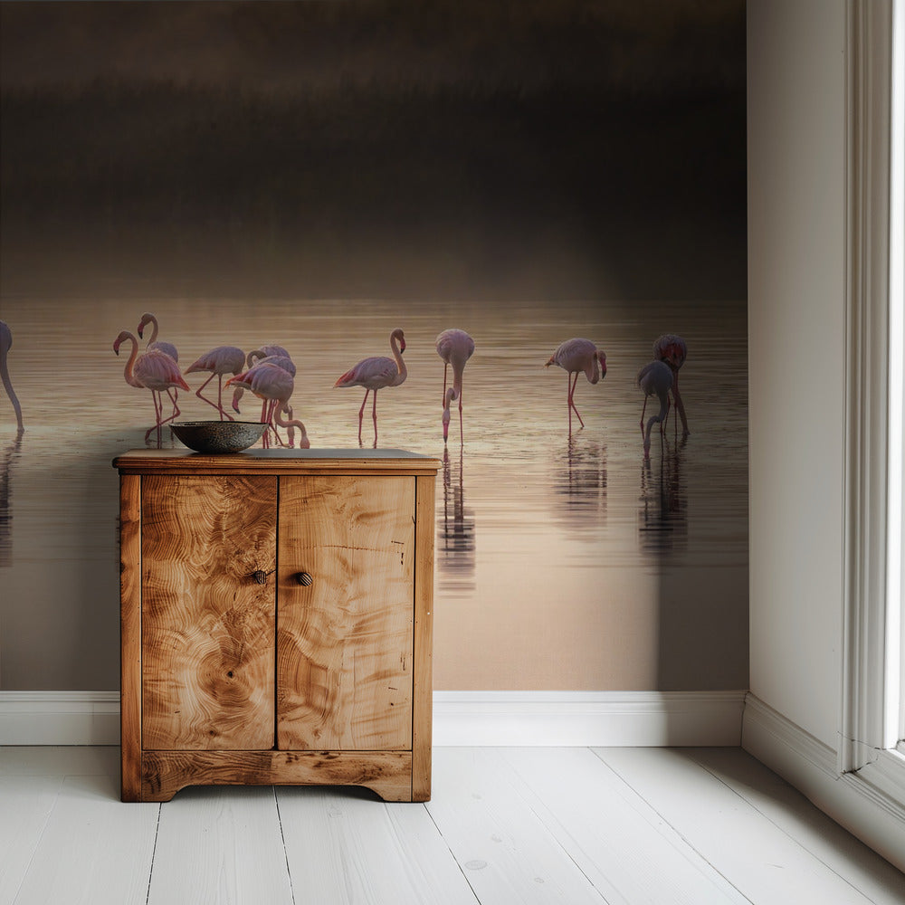 Fotografische ode aan Monet | Behang