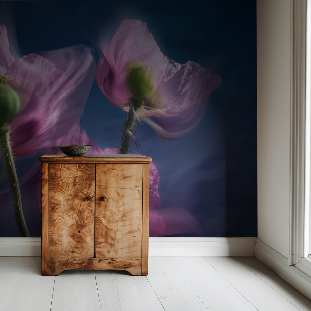 Klaprozen langs de weg | Behang