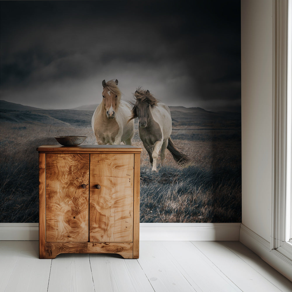 De broers | Behang