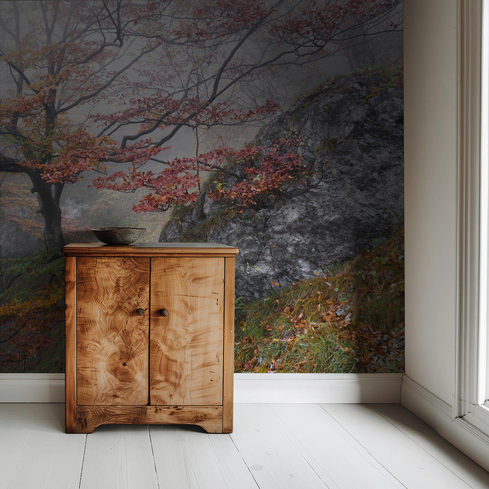 Mistige bossen | Behang
