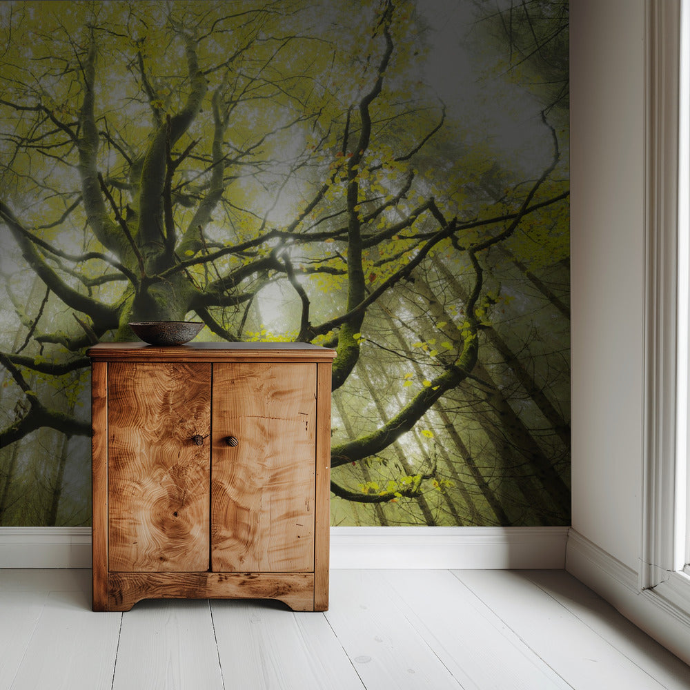 De Droomboom | Behang