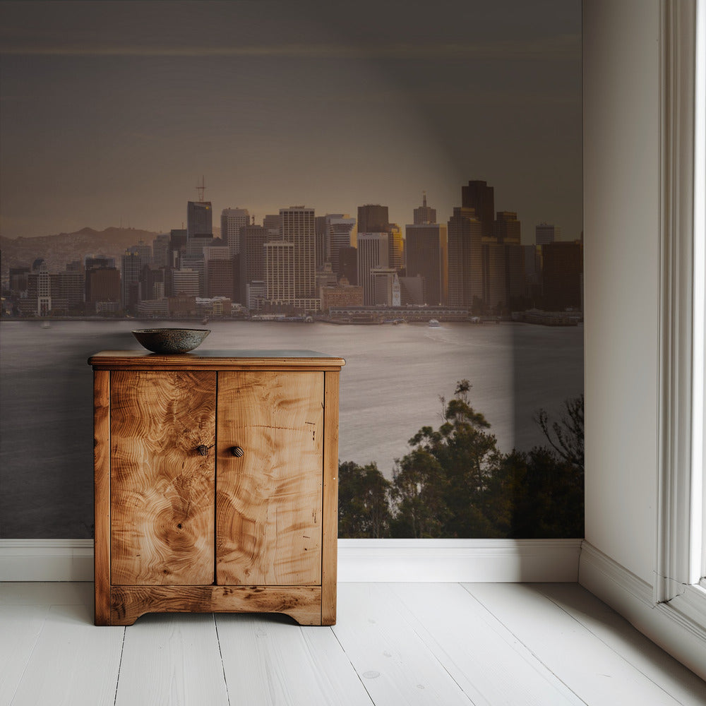 Panorama van San Francisco | Achtergrond