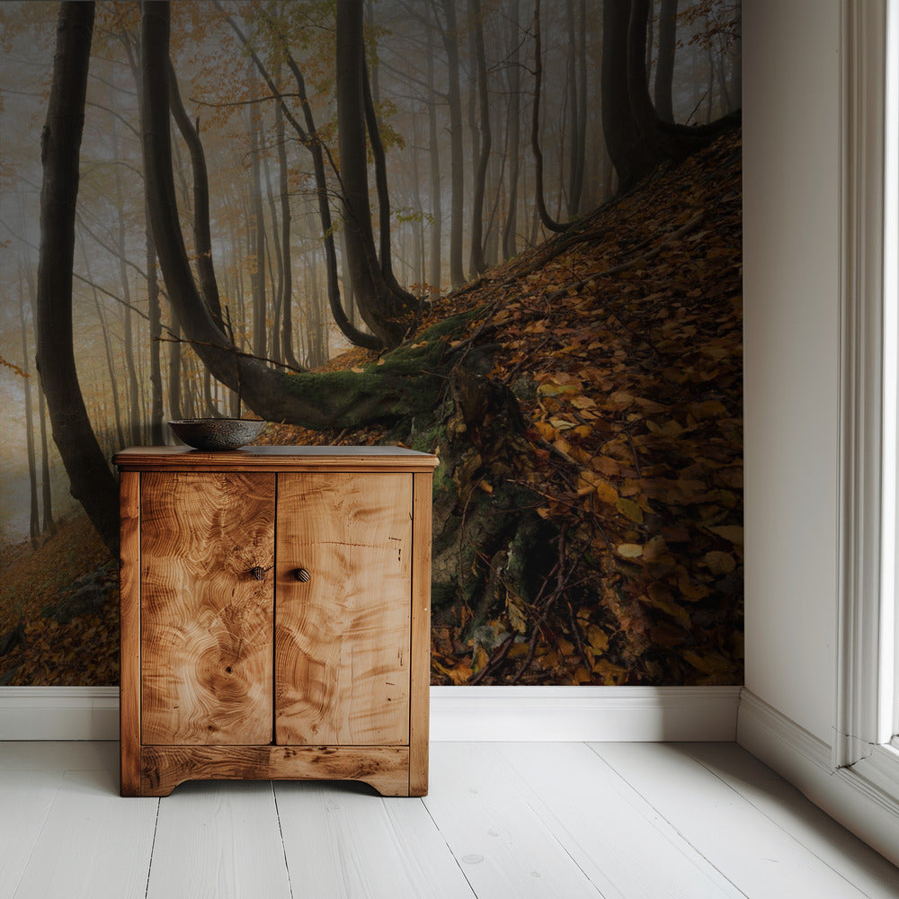 Mystiek herfstbos | Behang