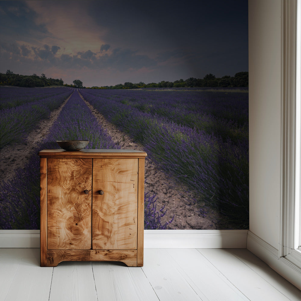 Blauwe Lavendel | Behang