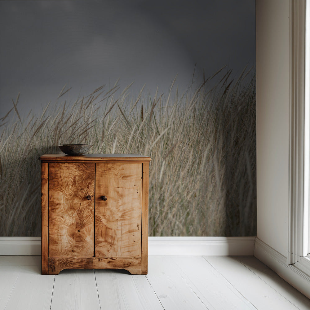 Duinen en wolken | Behang