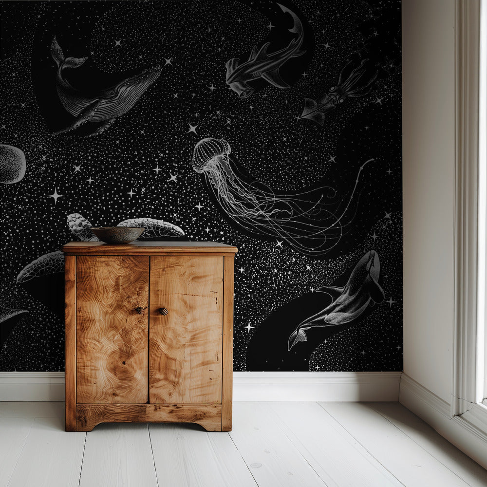 Kosmische Oceaan (zwarte versie) | Achtergrond