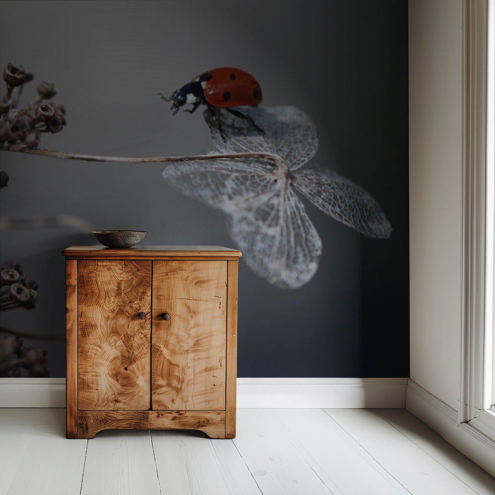 Lieveheersbeestje op hortensia. | Behang