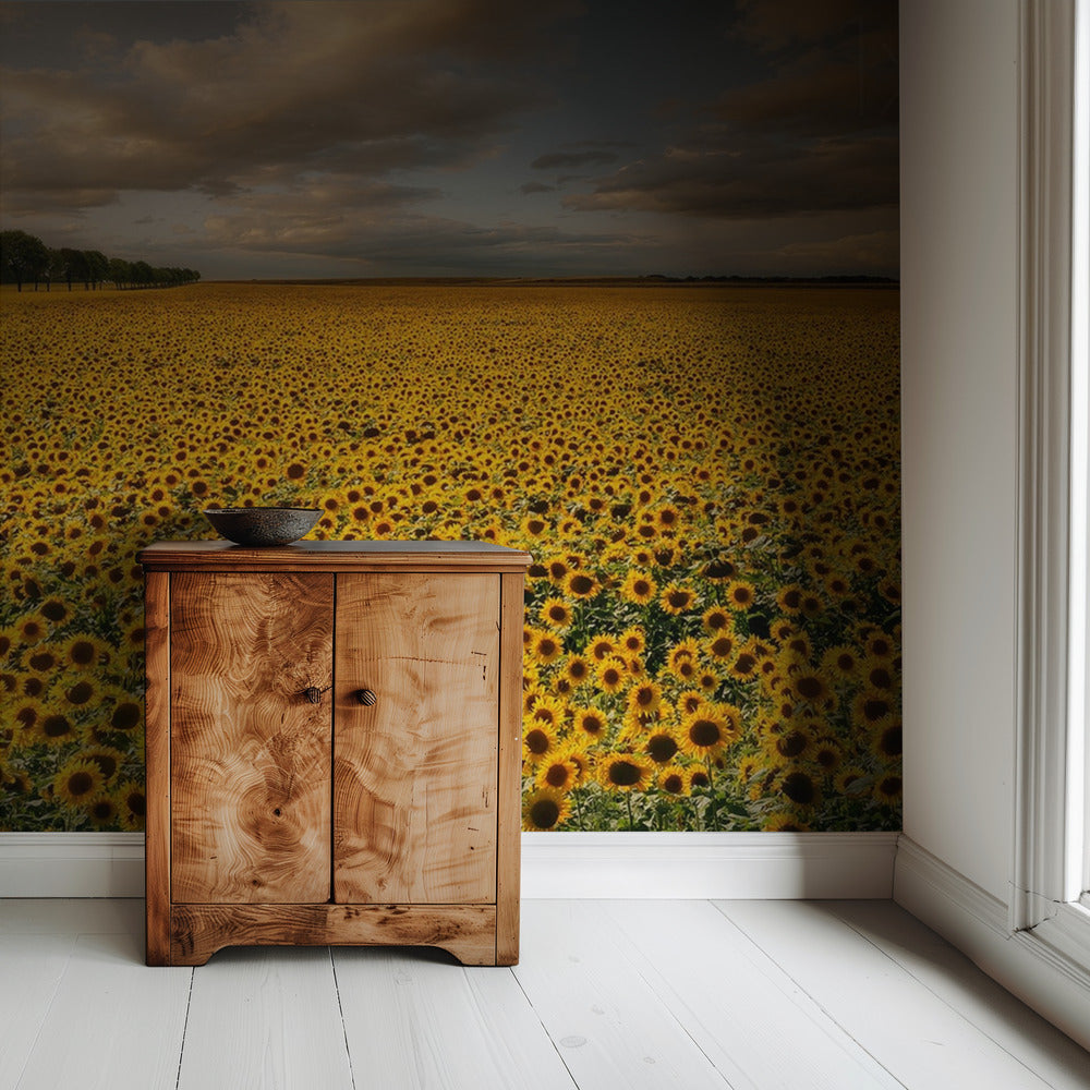 Zonnebloemen | Behang