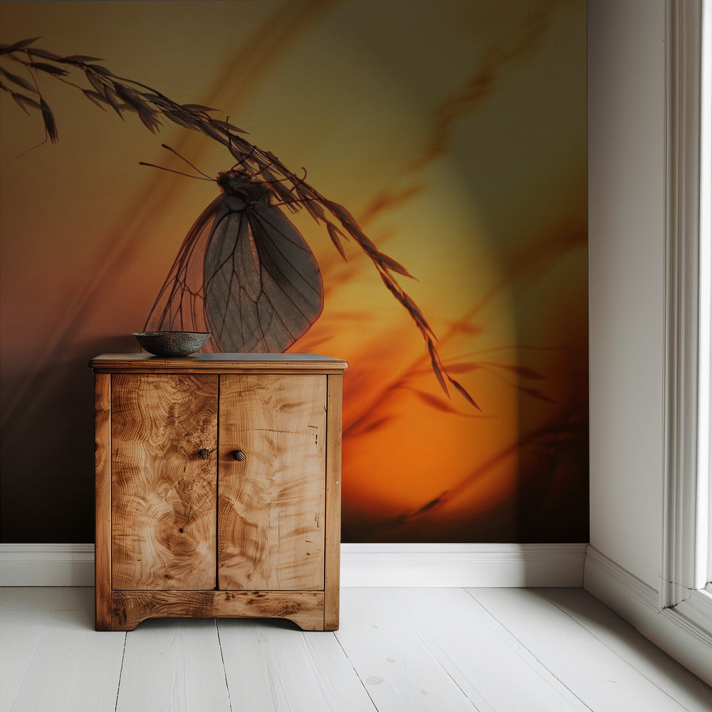 Goedenacht | Behang
