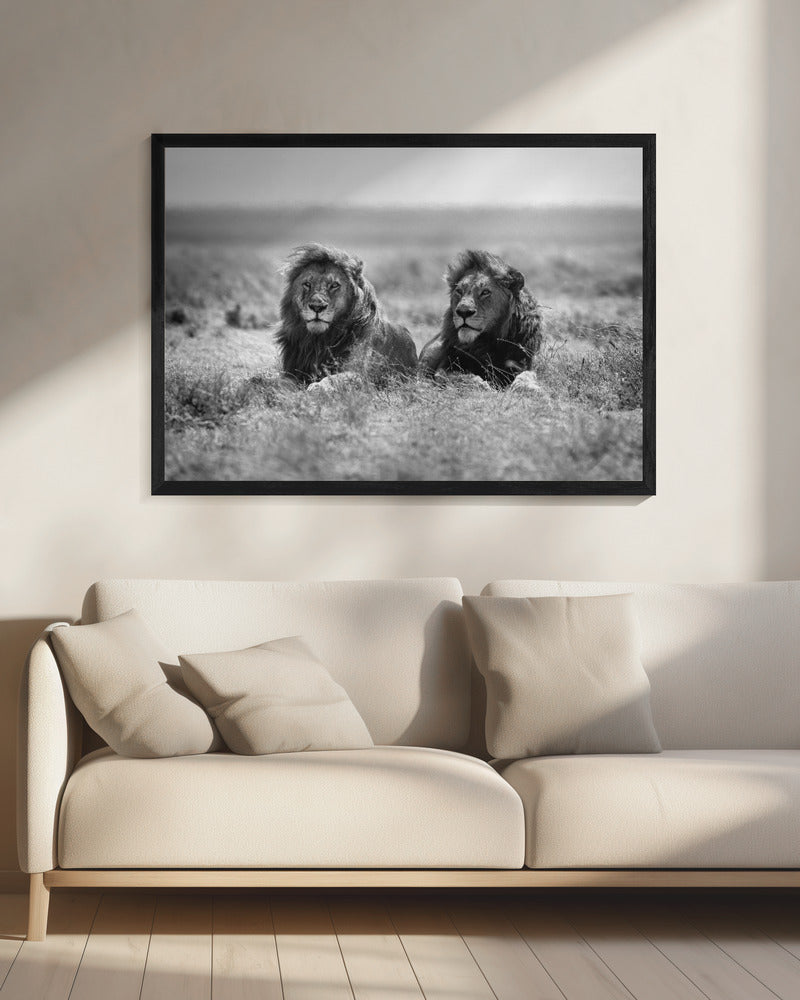 Twee koningen | Canvas