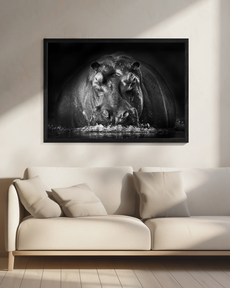KRACHT | Canvas
