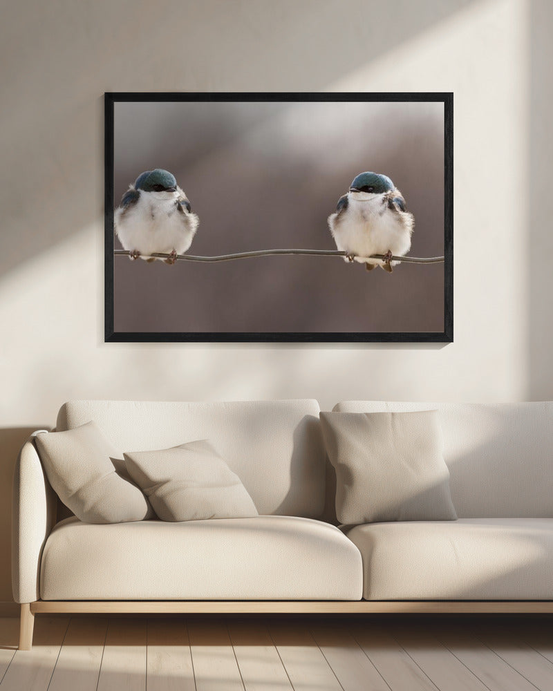 Vogels op een draad | Canvas