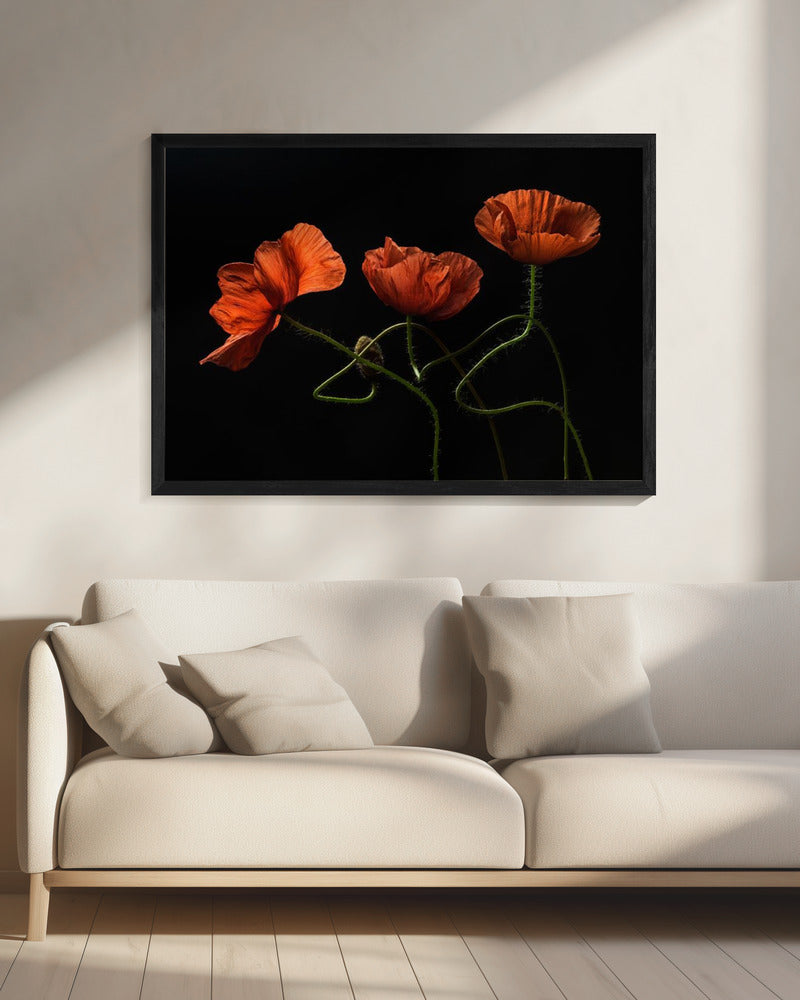 Rond middernacht #2 | Canvas