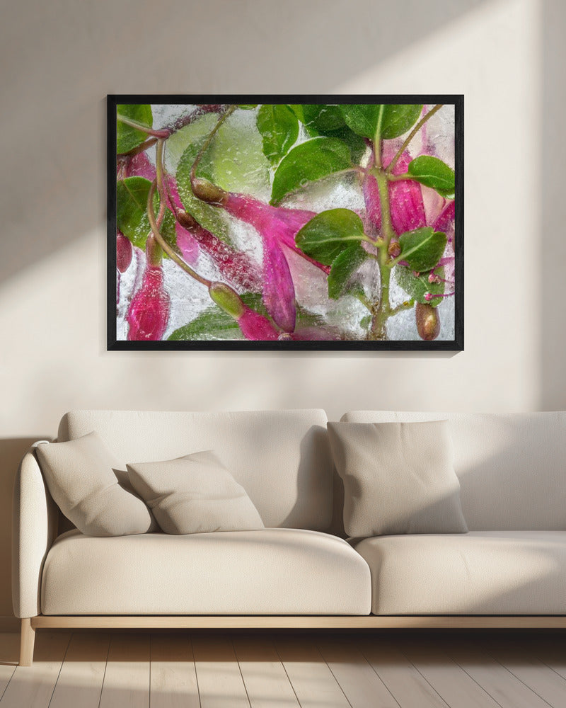 Fuchsia bevriezing | Canvas