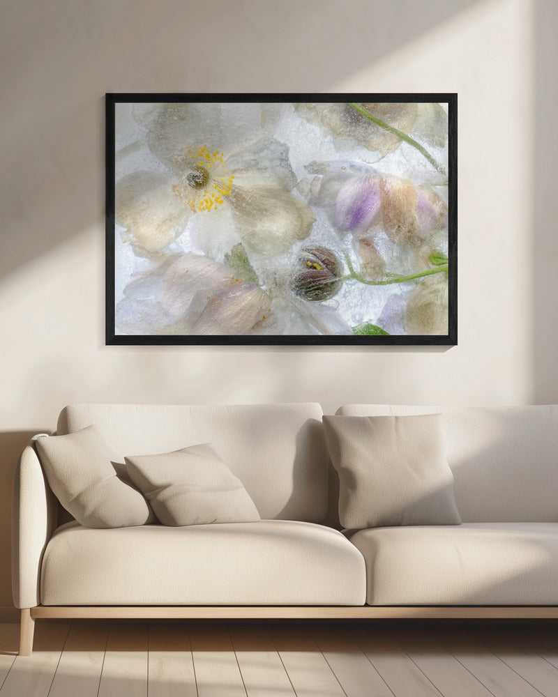 Anemoonvorst | Canvas