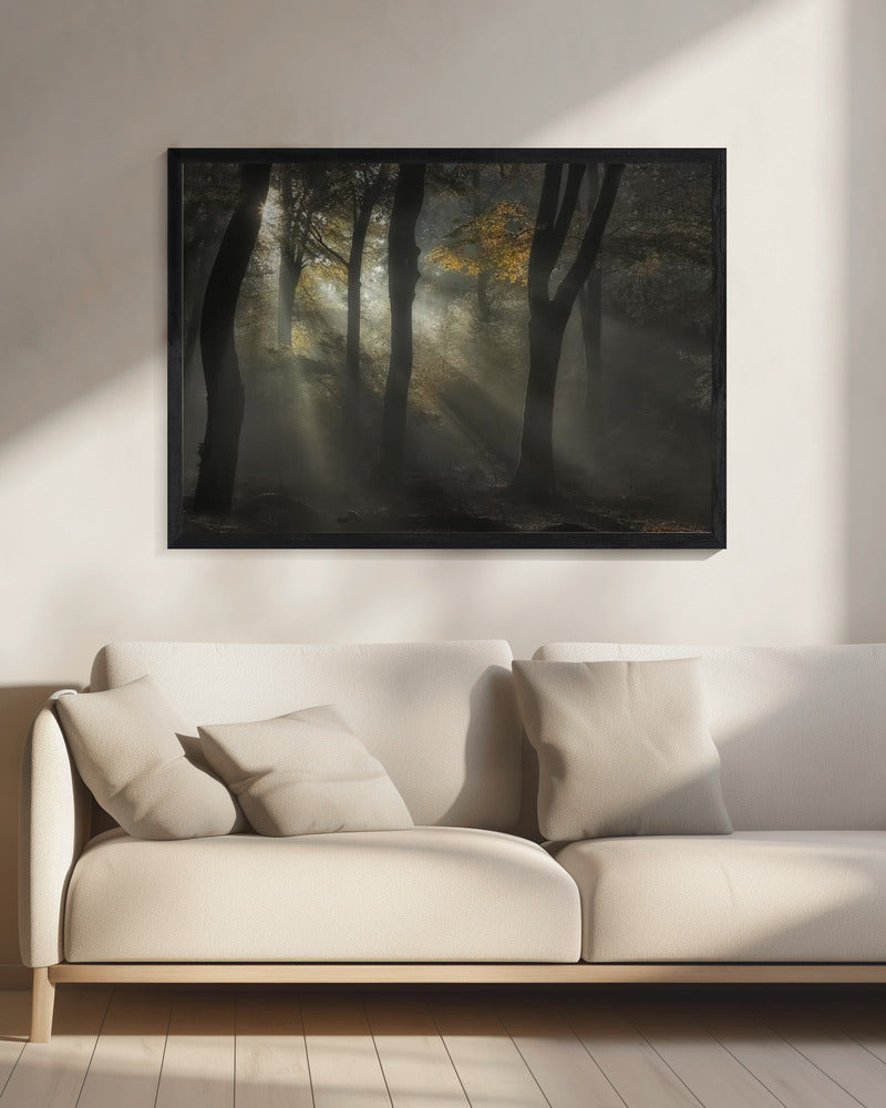 Sunbeam | Canvas