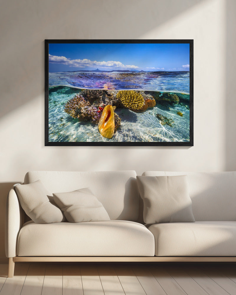 Laguneleven | Canvas