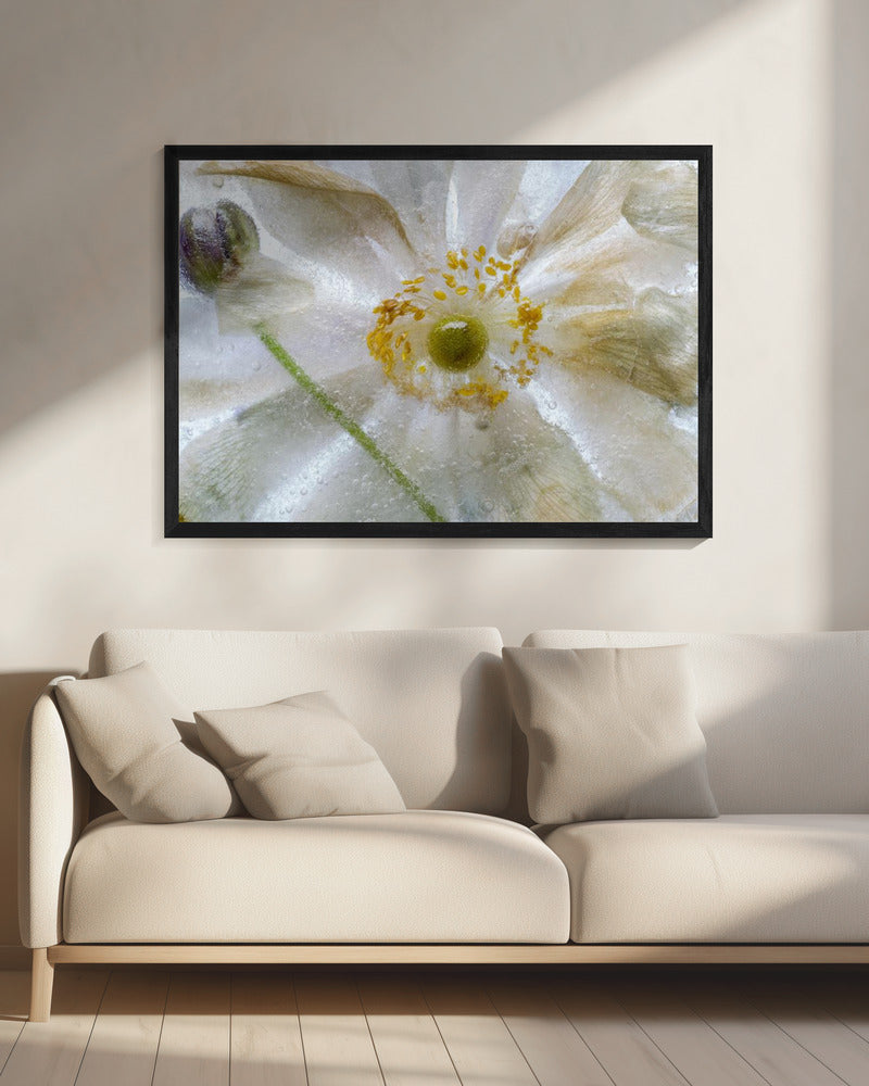 Bloemenvries | Canvas