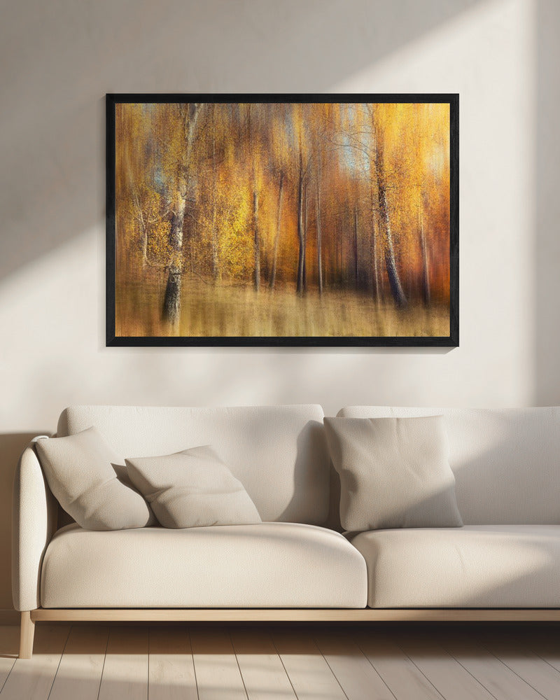 Herfstberken | Canvas