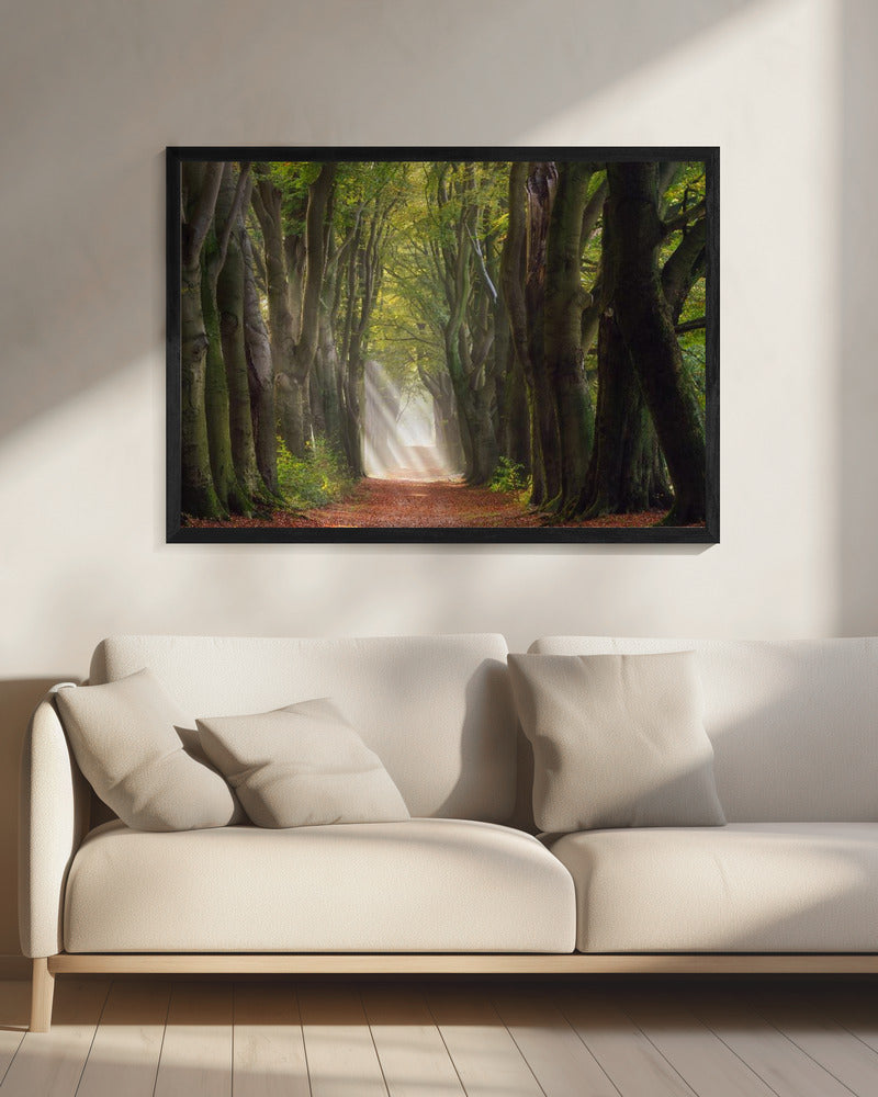 Een glorieuze dag | Canvas