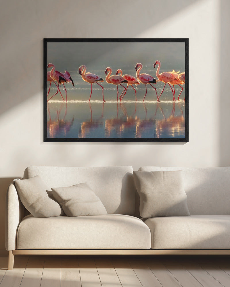 Flamingo | Canvas