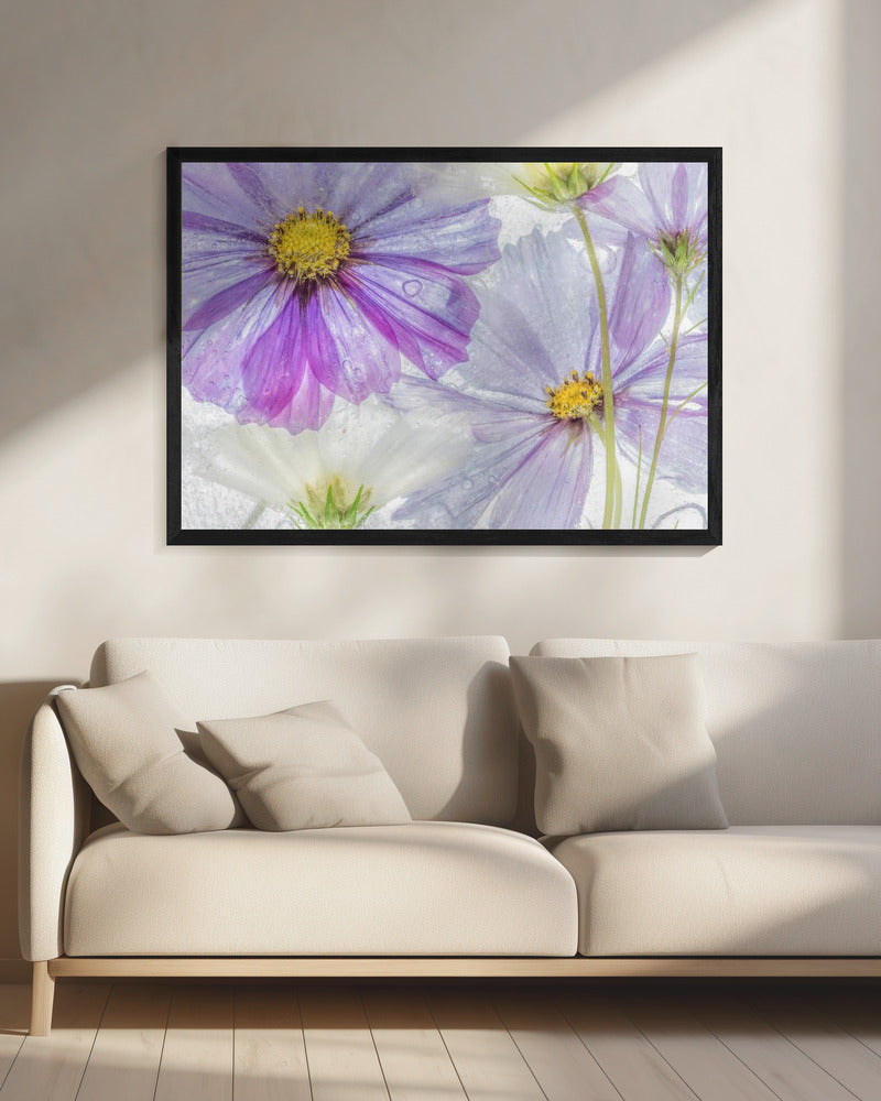 Kosmos cool | Canvas