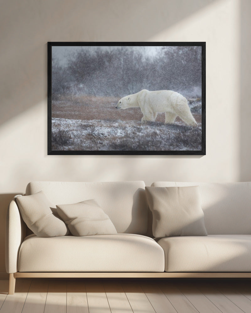 Laat het sneeuwen! | Canvas