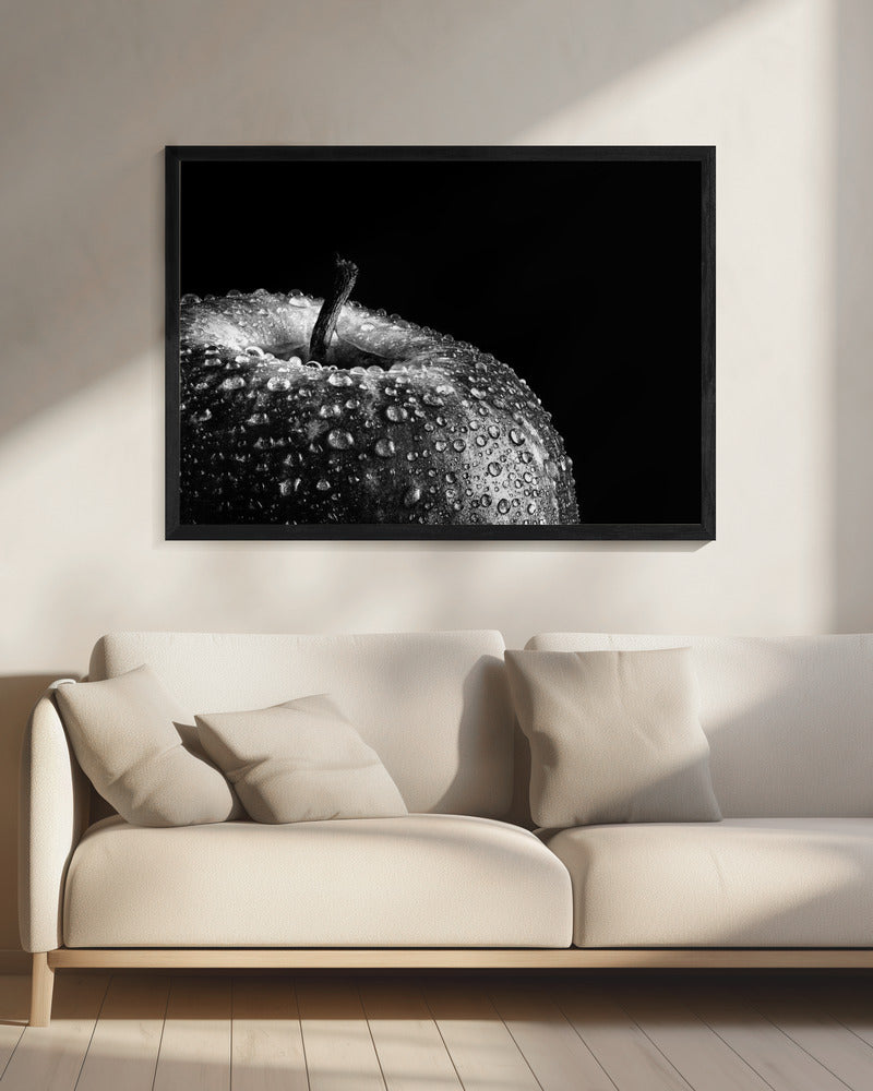 appel | Canvas