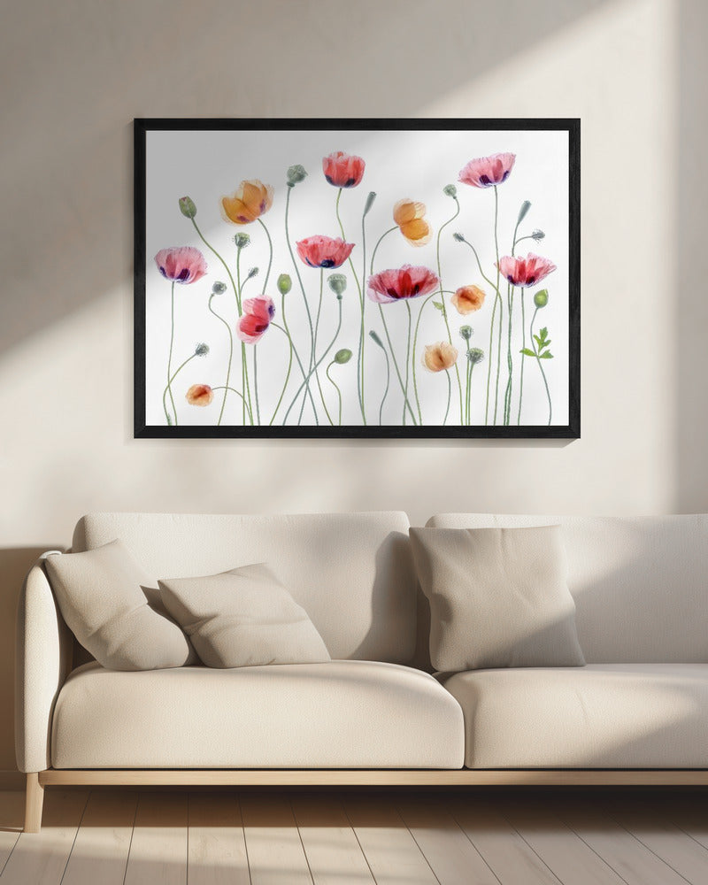 Papaverfeest | Canvas