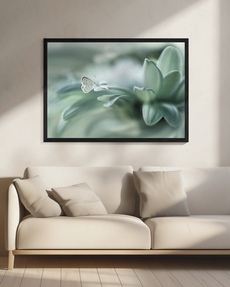 bola ajaib | Canvas