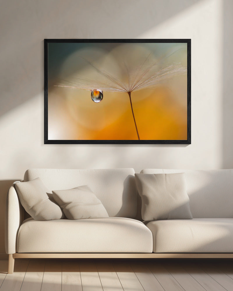 Kleine Nachtmuziek... | Canvas