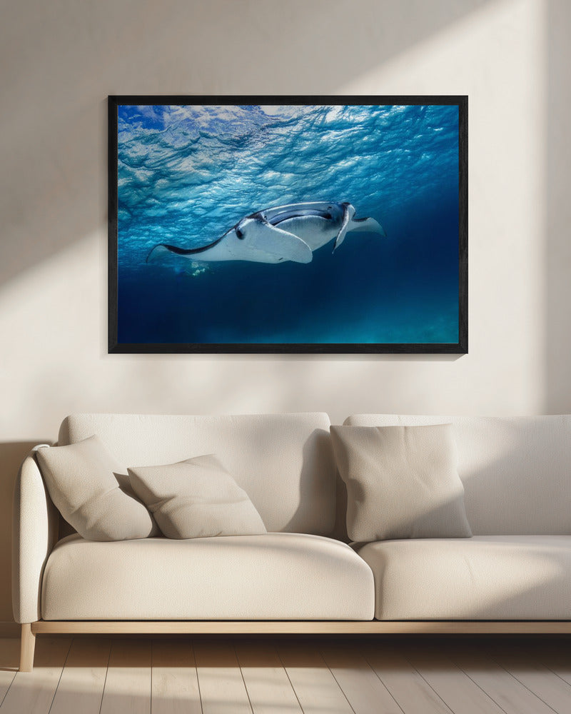 Mantarog | Canvas