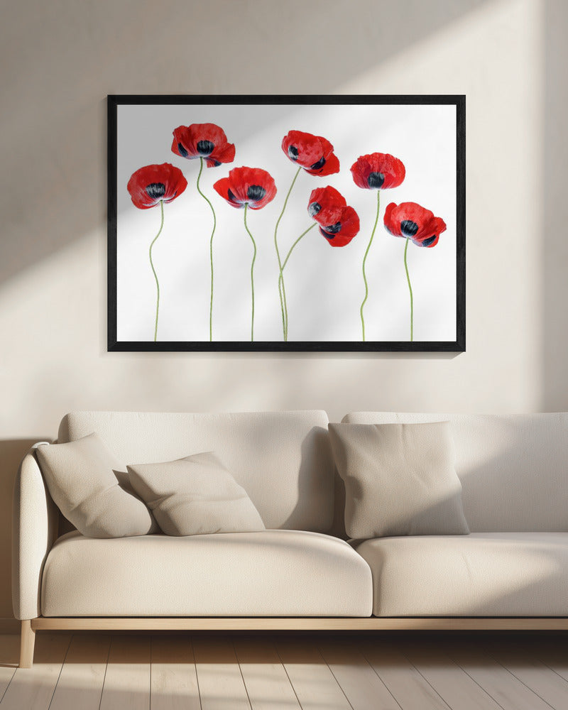 Lieveheersbeestjes Klaprozen | Canvas