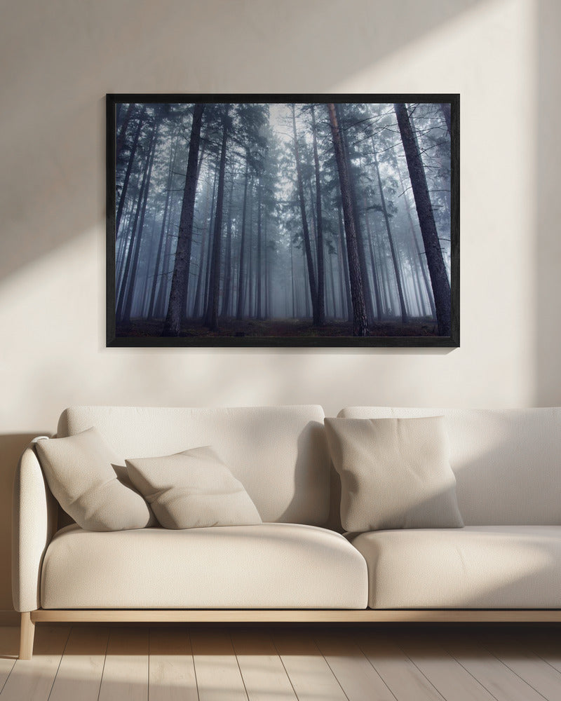 Mysterieus mistig bos. | Canvas