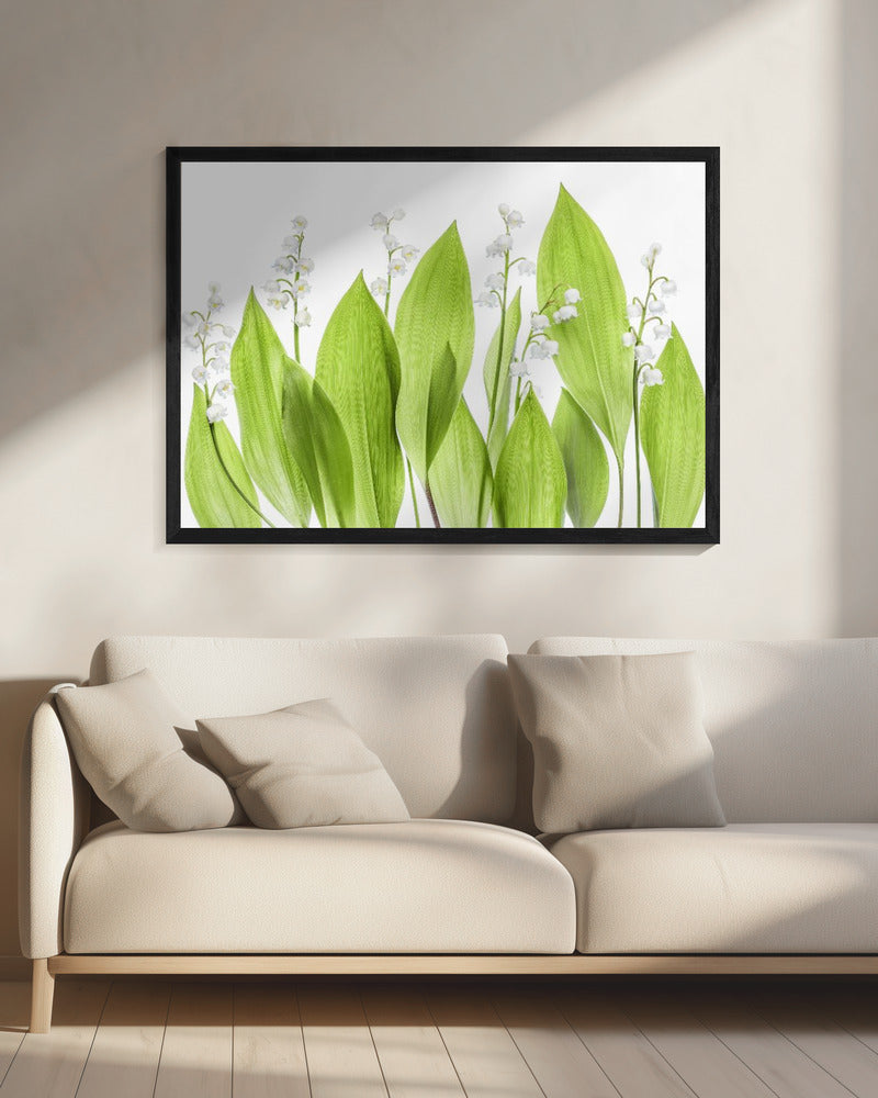 Lelietje-van-dalen | Canvas