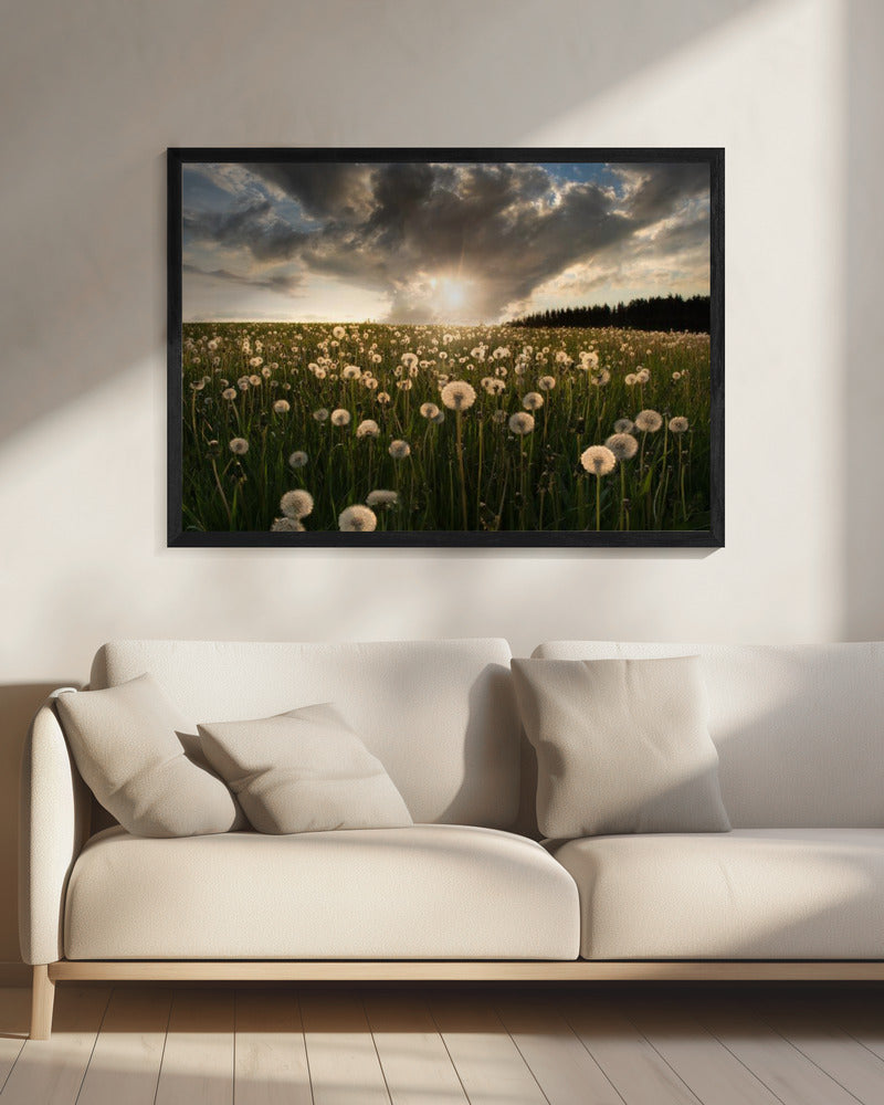 Gloeilampen | Canvas