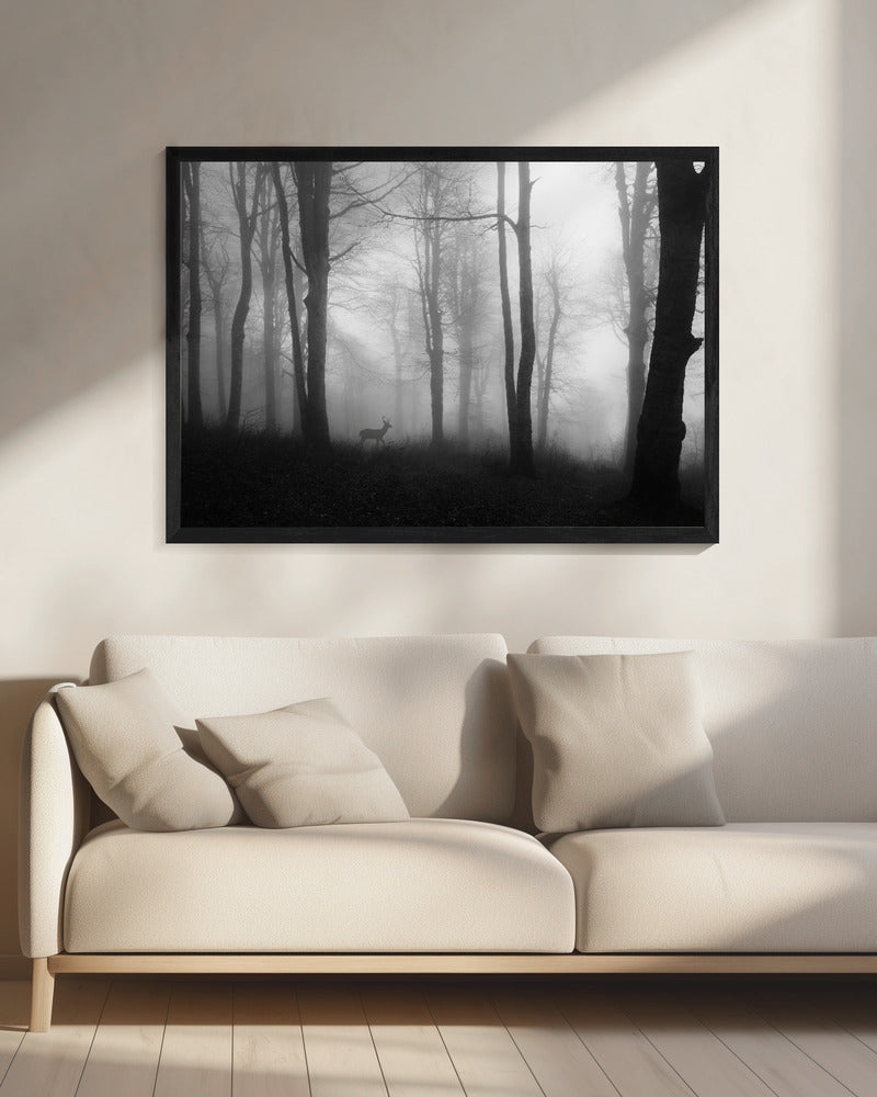 bos | Canvas