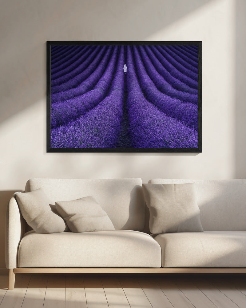ZIJ | Canvas