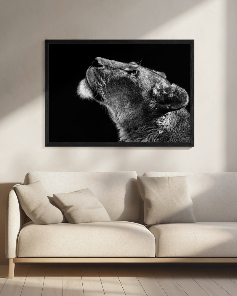 Omhoog kijken | Canvas