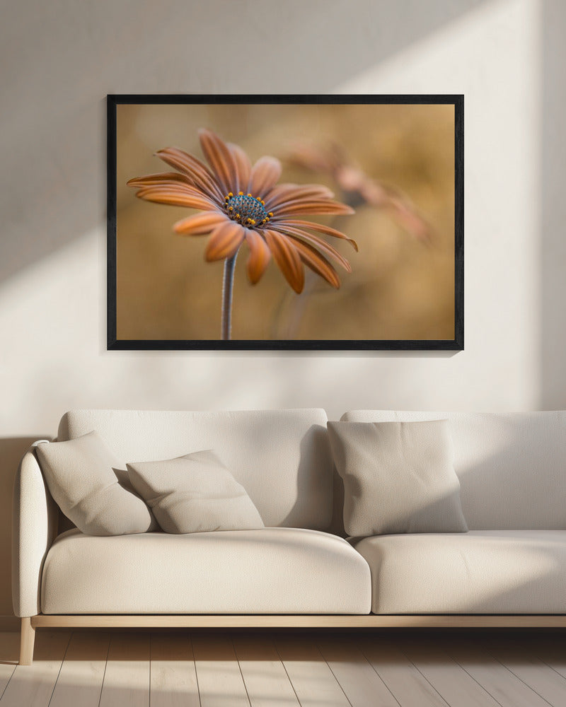 Zomergloed | Canvas