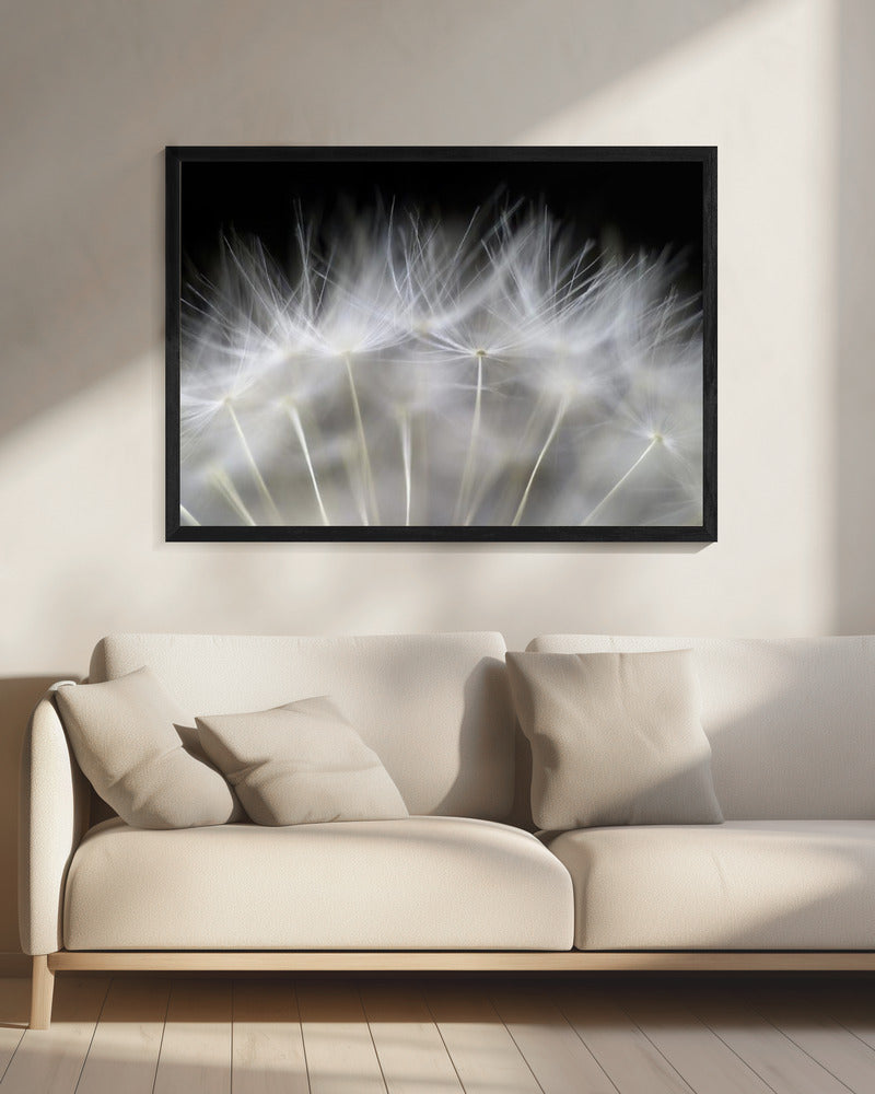 Blaas het op | Canvas