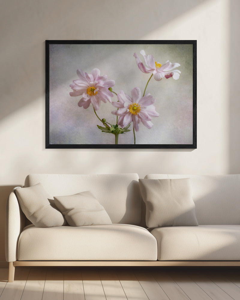 Anemonen | Canvas