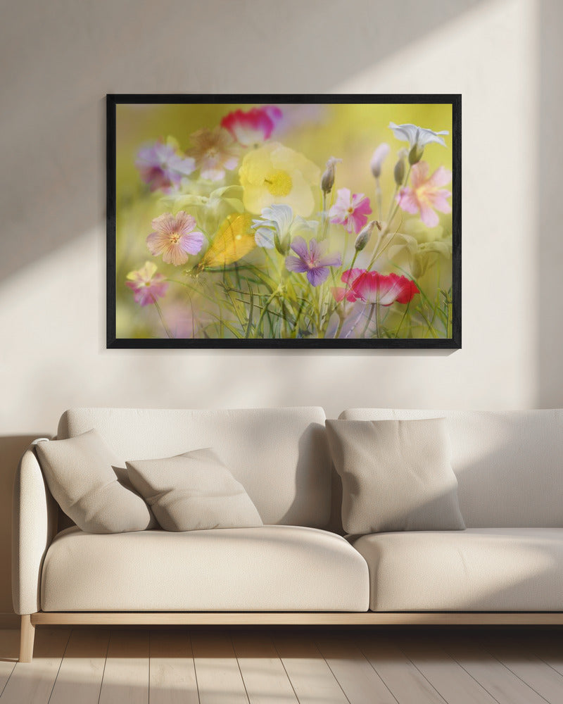 Kleine tuin in een zomerveld | Canvas